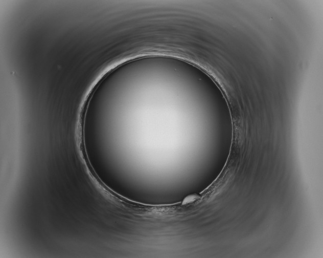 X0000100321531200806051506