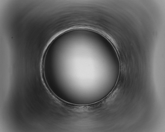 X0000100321533200806051506