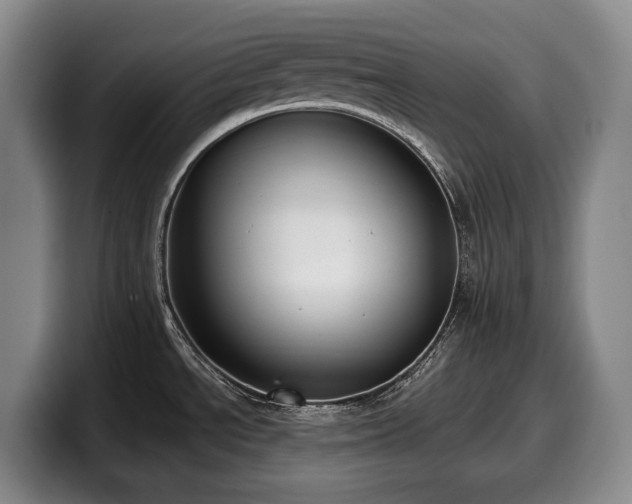 X0000100321534200806051506