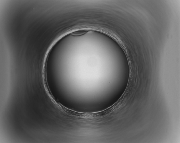 X0000100321536200806051506