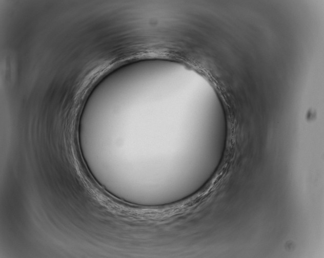 X0000100320001200806121115