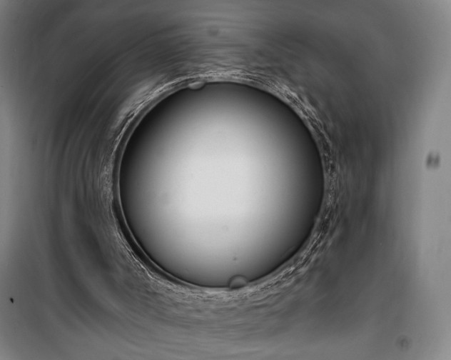 X0000100320002200806121115