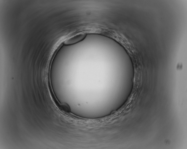 X0000100320003200806121115