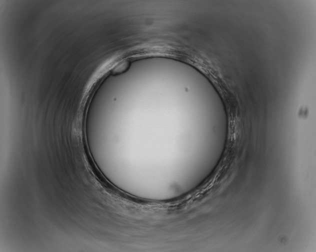 X0000100320004200806121115