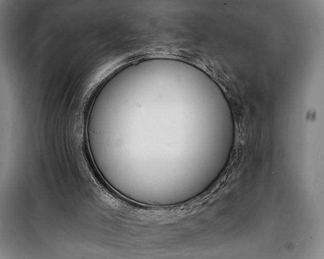 X0000100320005200806121115