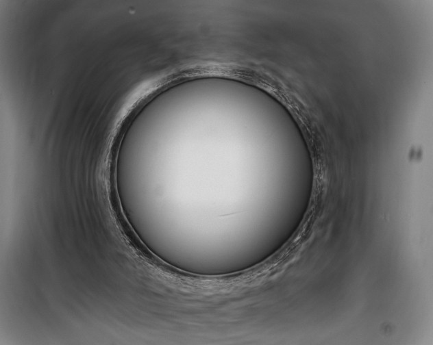 X0000100320006200806121115