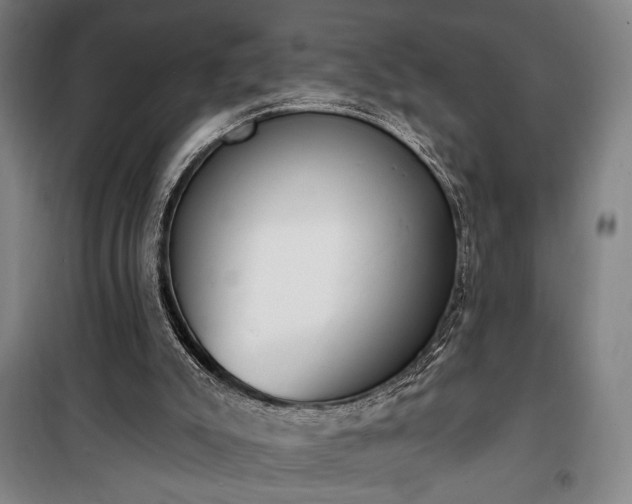 X0000100320007200806121115