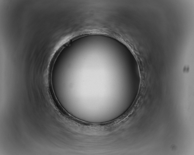 X0000100320008200806121115