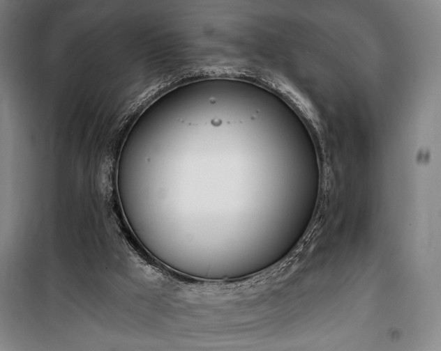 X0000100320009200806121115