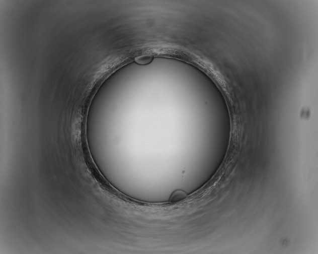 X0000100320010200806121115