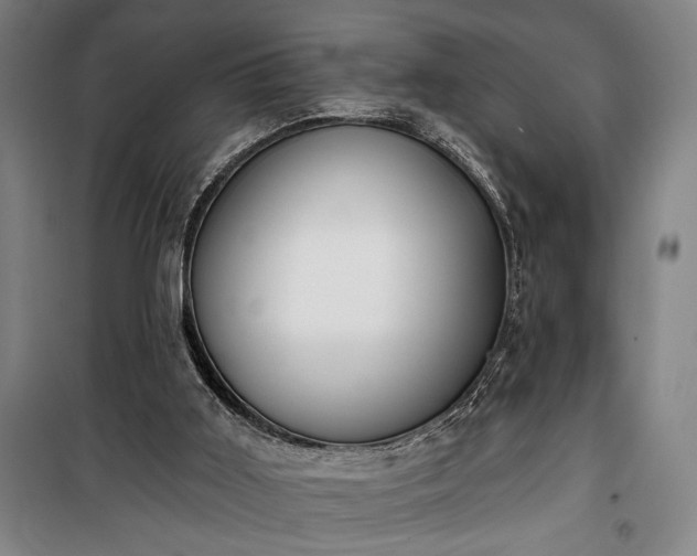 X0000100320011200806121115