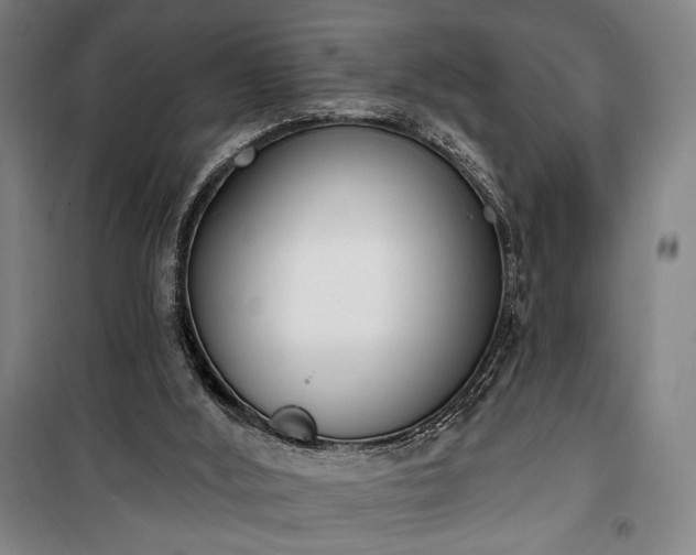 X0000100320012200806121115