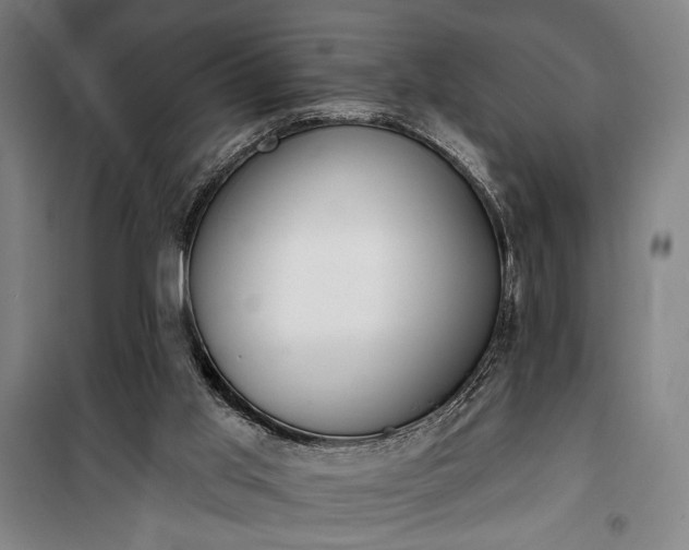 X0000100320013200806121115