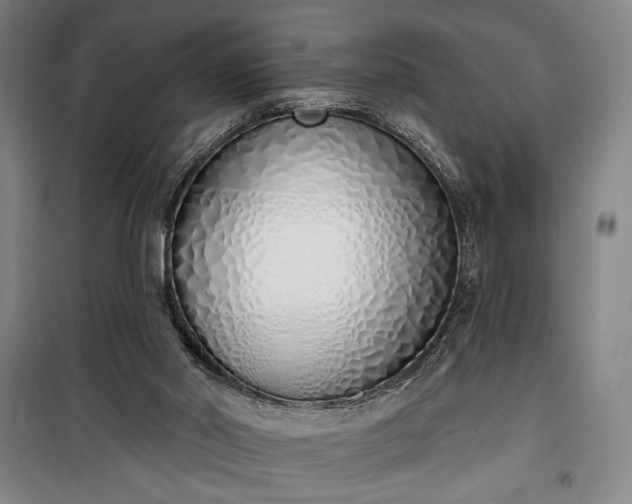 X0000100320014200806121115