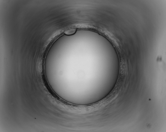 X0000100320015200806121115