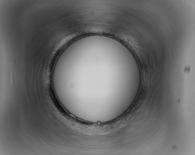 X0000100320016200806121115