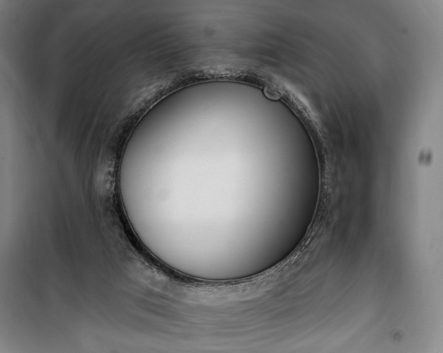 X0000100320017200806121114