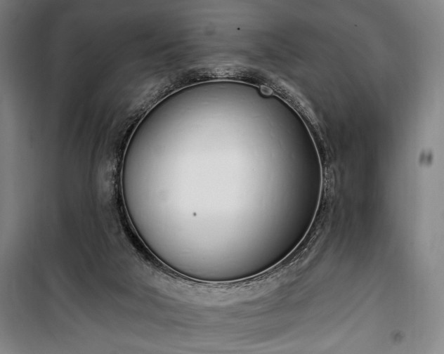 X0000100320018200806121114