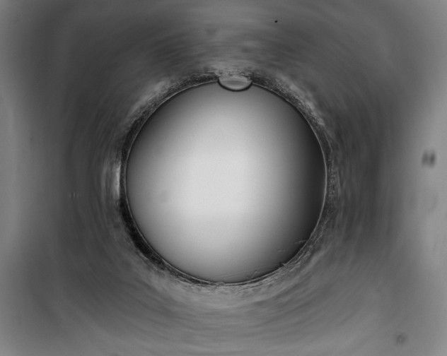 X0000100320019200806121114