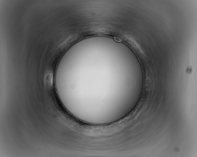 X0000100320021200806121114