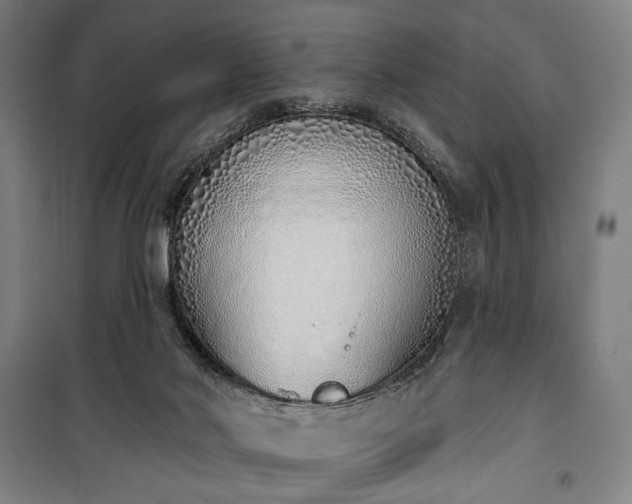 X0000100320022200806121114