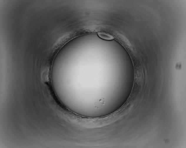 X0000100320023200806121114