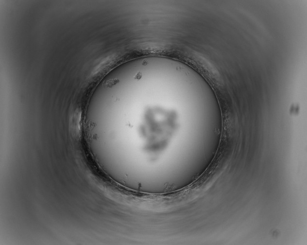 X0000100320024200806121114