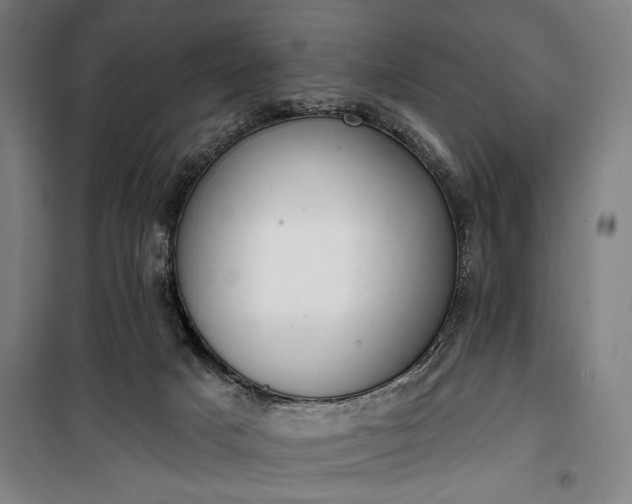 X0000100320025200806121114