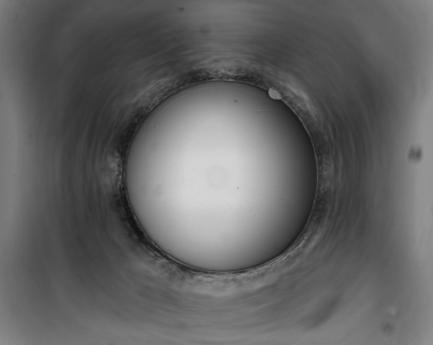 X0000100320029200806121114