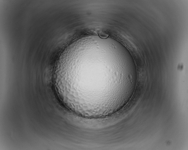 X0000100320030200806121114