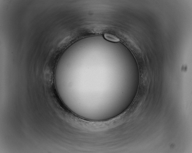 X0000100320031200806121114