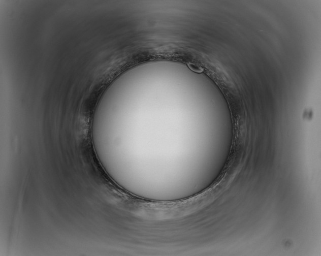 X0000100320033200806121114