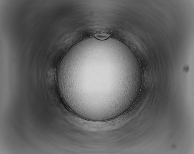 X0000100320034200806121114