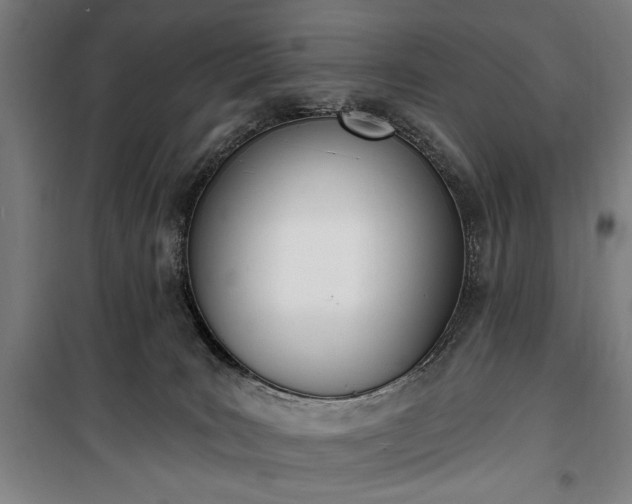 X0000100320035200806121114