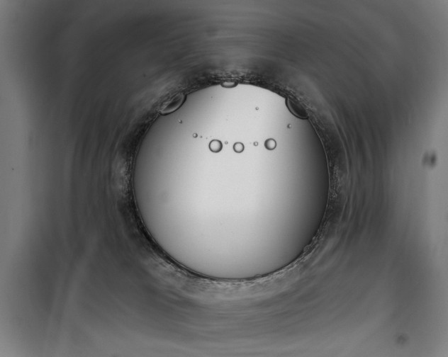 X0000100320037200806121114