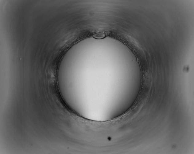 X0000100320039200806121114