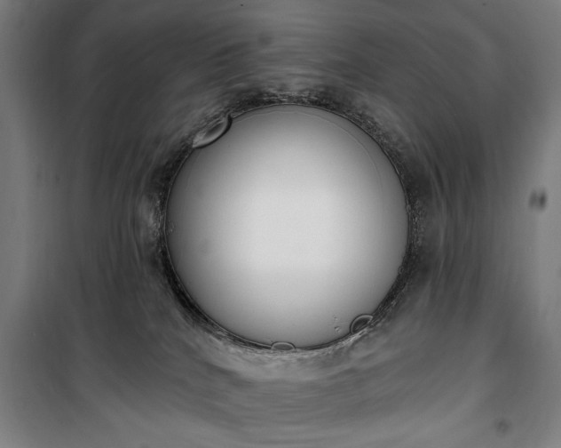 X0000100320040200806121114