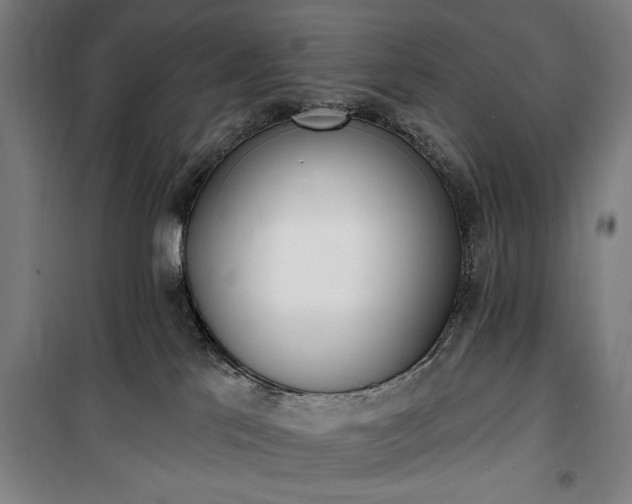 X0000100320041200806121114