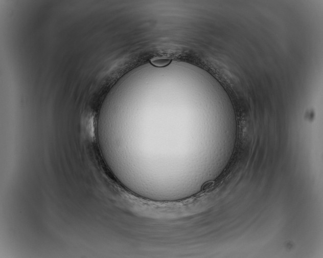 X0000100320042200806121114