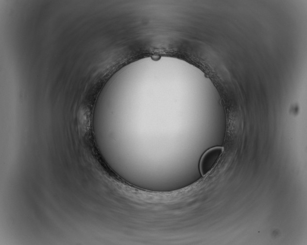 X0000100320043200806121114