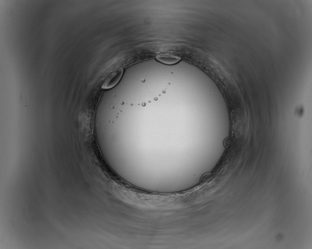 X0000100320044200806121114