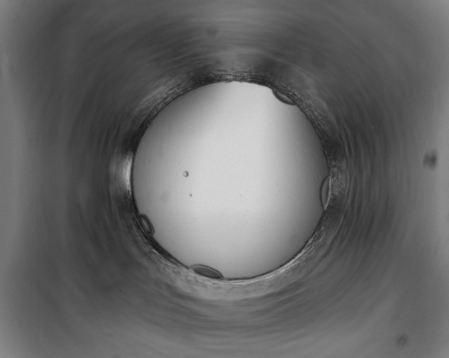 X0000100320047200806121114