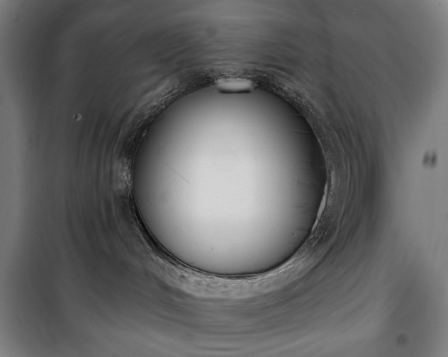 X0000100320048200806121114