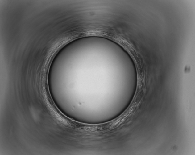 X0000100320049200806121113