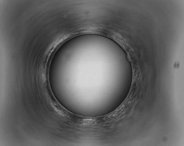 X0000100320050200806121113