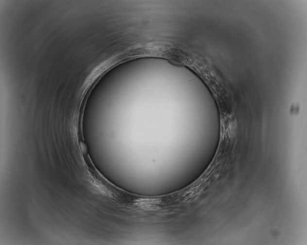 X0000100320051200806121113