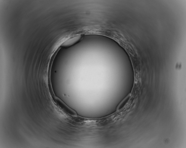 X0000100320052200806121113