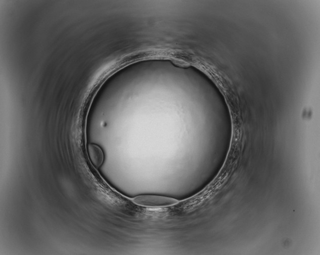 X0000100320053200806121113