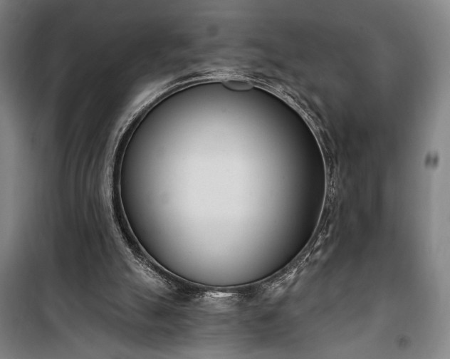 X0000100320055200806121113