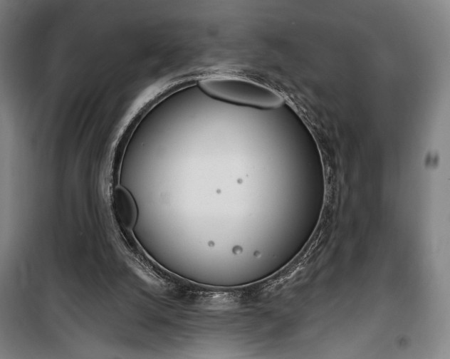 X0000100320056200806121113